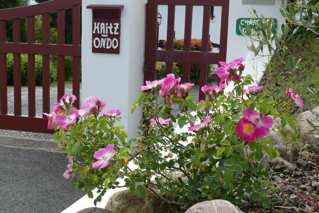 Chambres D'Hotes Haitz Ondo Hasparren Zewnętrze zdjęcie